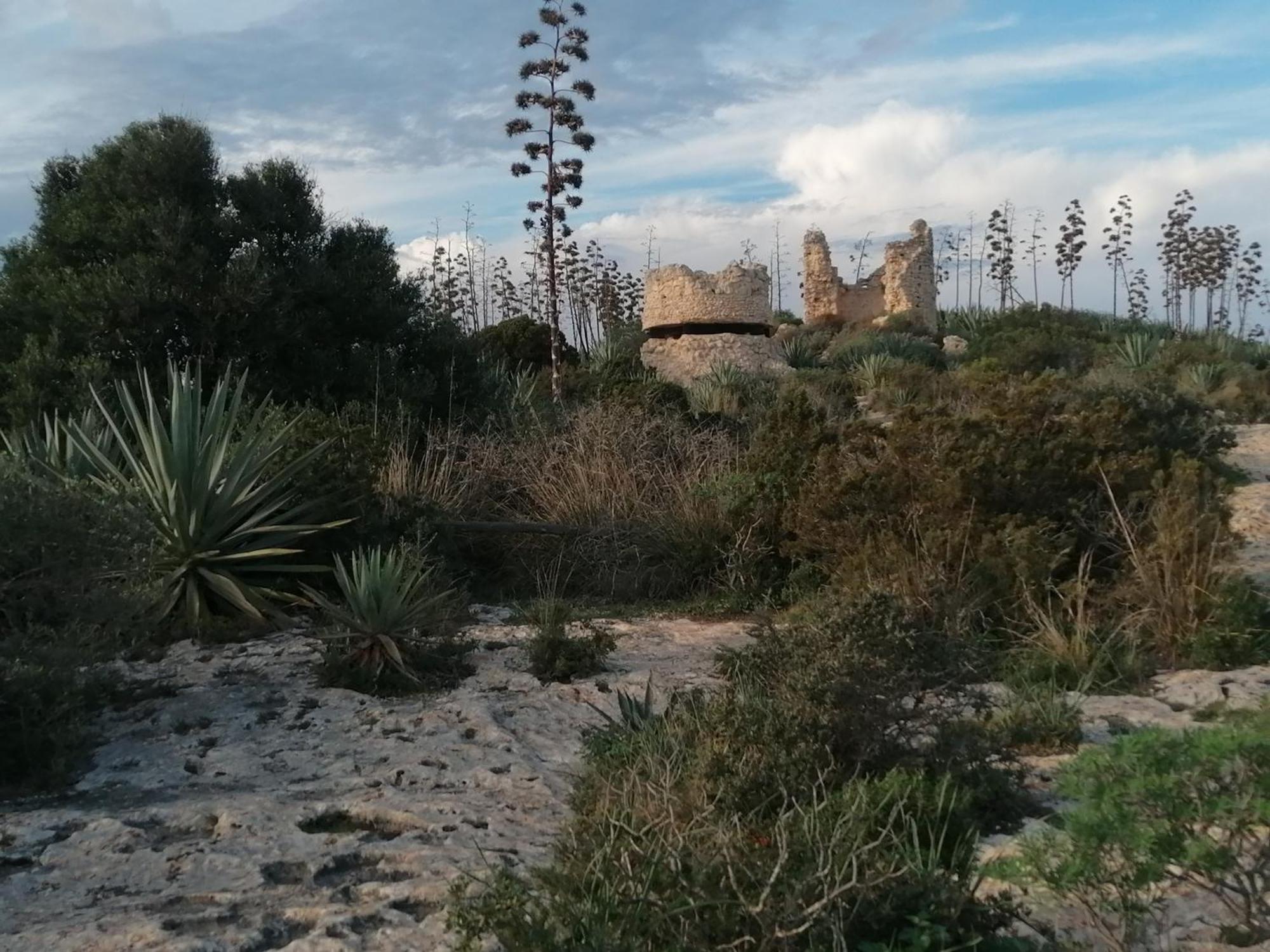 Apartamento Aura Di Mare *