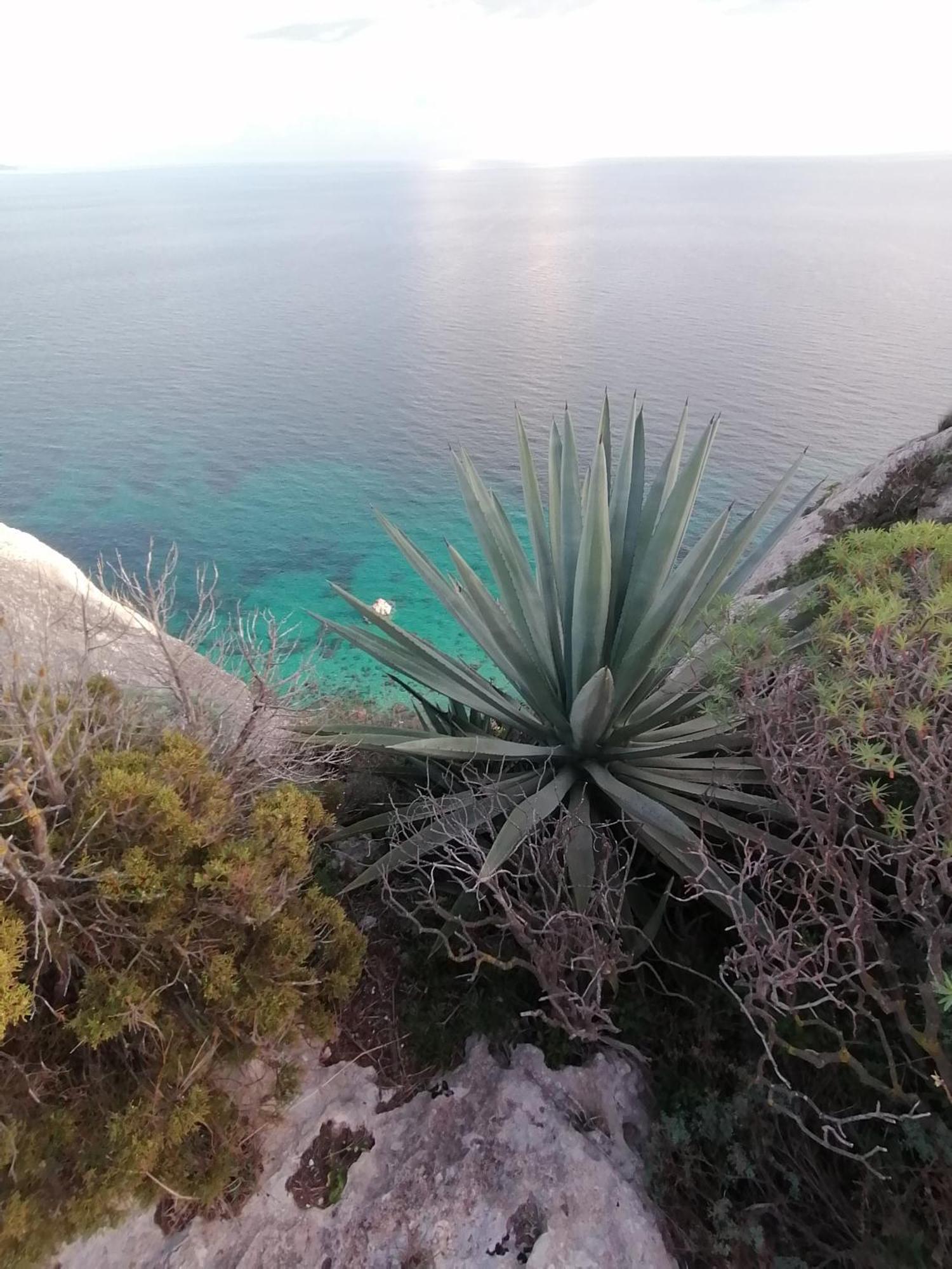 Aura Di Mare Apartment Cagliari
