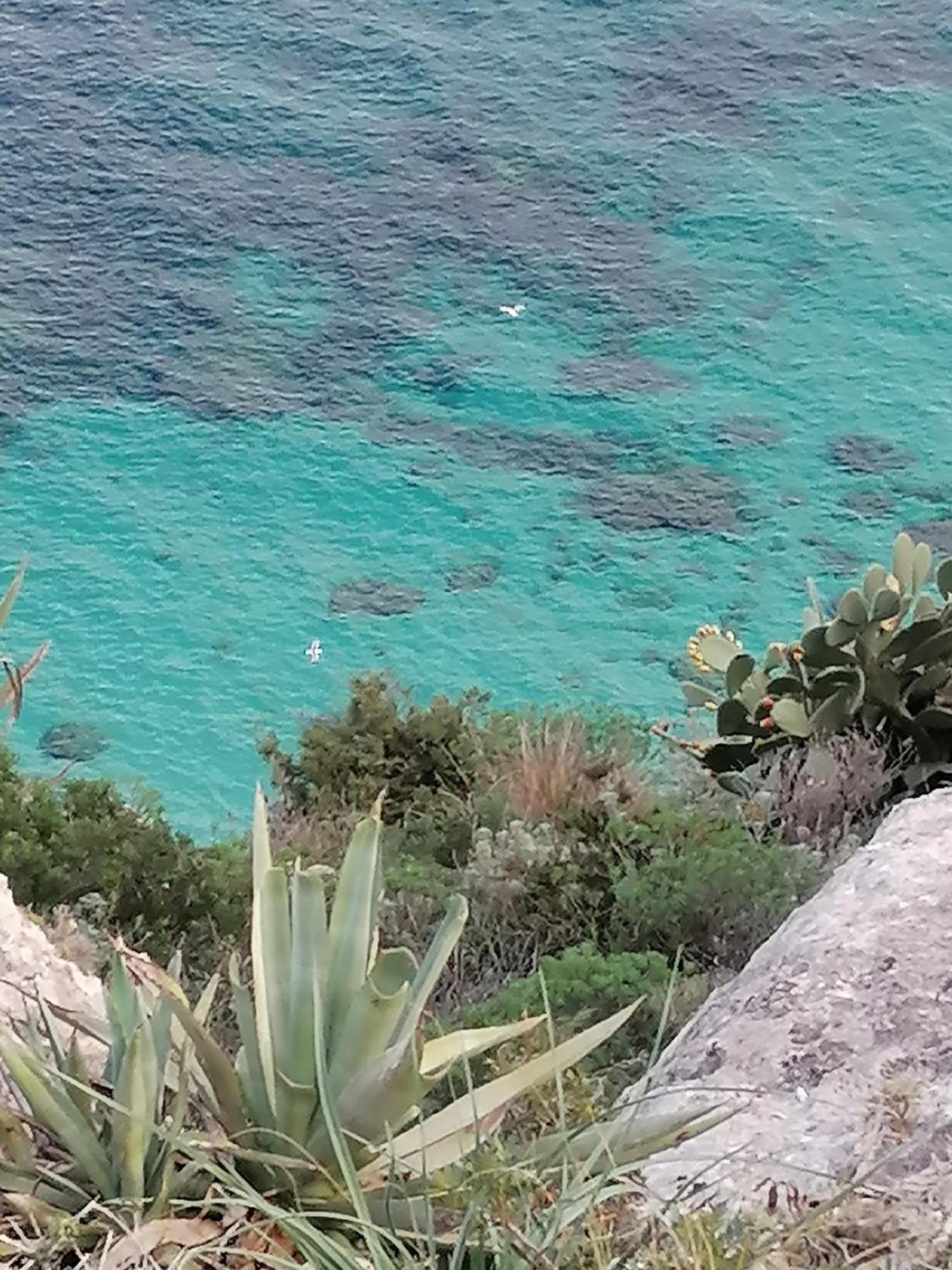 Aura Di Mare Apartment Cagliari
